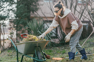 Young woman putting dry grass and leaves into wheelbarrow while cleaning backyard in spring.