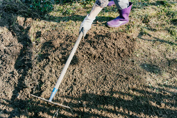 Top view of gardener in rubber boots raking and preparing loose soil in the garden