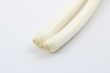 シンプルな構成で使い勝手の良い長ネギ