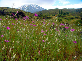 Obraz premium Hiking Adventure on Mount Ararat, Highest Peak in Turkey