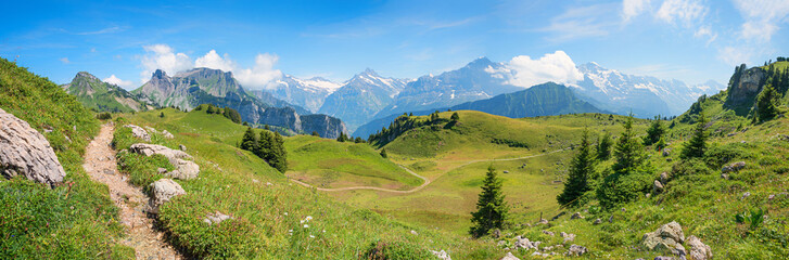 view from hiking trail Schynige Platte over wide green pastures to Bernese Alps, switzerland © SusaZoom