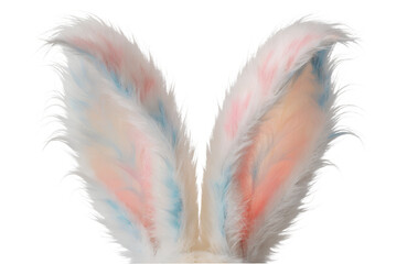Rabbit Ears Close Up Isolated on Transparent Background PNG
