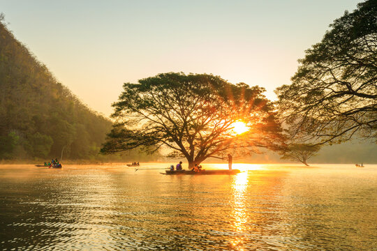 Giant Rain Tree (Samanea saman) tree in the lake at Mae Ngad Dam, Chiang Mai, Thailand