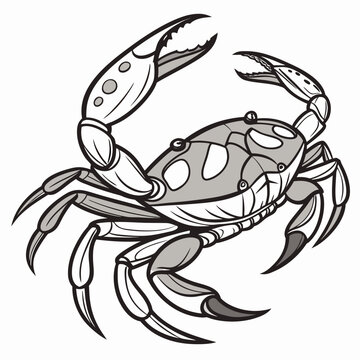 A black and white drawing of a crab