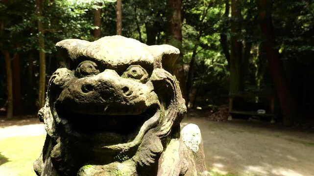 山の神社の狛犬