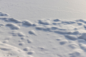Obraz premium drifts of white soft snow after a snowfall, the uneven structure of the snow is white