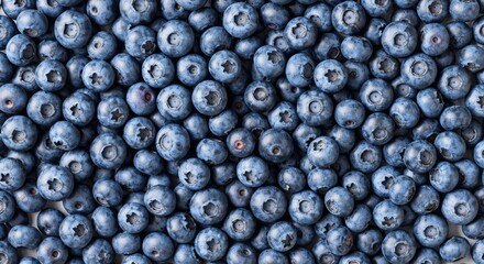 Fresh Blueberries Close-Up of Juicy Fruits Ideal for Backgrounds and Textures in Design Projects
