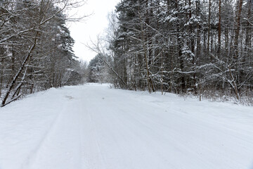 a narrow road for cars in the forest in winter, covered with snow, a track from cars in the forest in winter, trees grow around