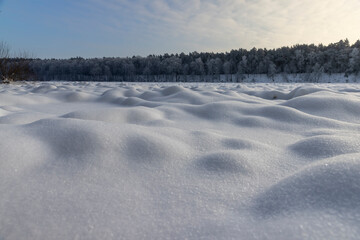 a big river with snowdrifts on the background of the sky and the forest in the winter , beautiful white deep uneven snowdrifts in the cold season on the river near the forest