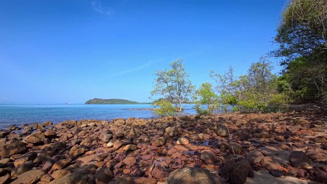 Rocky intertidal shoreline with coastal trees growing in shallow water in Thailand