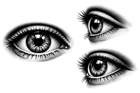 Human eye macro a human eye opened wide with clear iris structure and reflective highlights shown from straight-on view profile view and