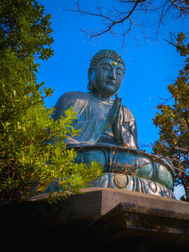 Bronze seated Buddha statue at Tennōji Temple, founded in 1274, in Yanaka, Taito, Tokyo, Japan.
