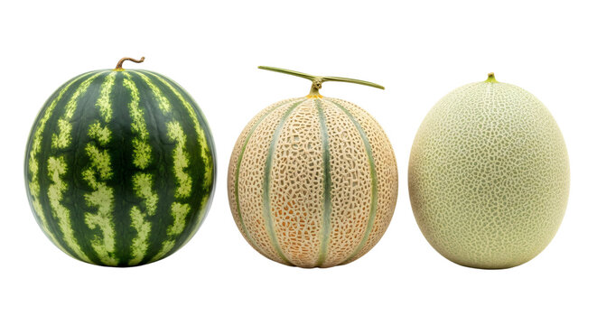 A row of three melons on a white background isolated on transparent background