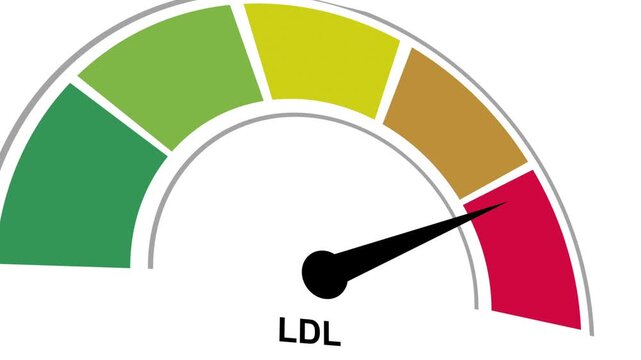 Animated LDL (bad cholesterol) / Low density lipoprotein level meter moving from high level to normal level for concept. white background.