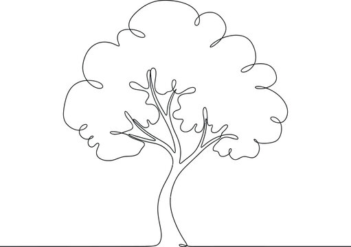 Continuous line drawing of a tree with a large leafy crown and thin branches on a white background