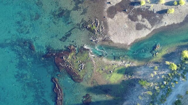 Aerial top-down view of the Chimehuin River mouth at Lanin National Park
