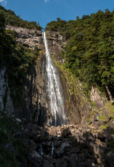 Obraz premium A dramatic waterfall pours down a sheer stone face surrounded by lush green forest at Nachi Falls in Wakayama, Japan. Sunlight enhances the rugged textures of the rocks and the vibrant foliage under a