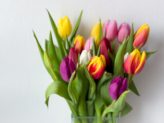 Obraz premium Beautiful bouquet of vibrant multicolored tulips spring flowers on white background close up, floral wallpaper background with spring tulips