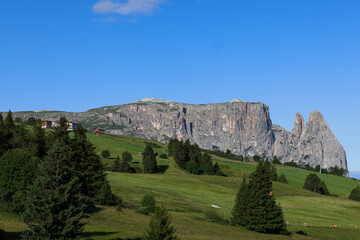View over the alpine meadows towards the peaks of the Schlern on the Seiser Alm, Dolomites, South Tyrol, Italy.
