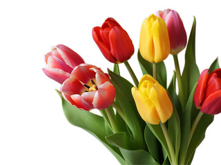 Fototapeta premium A Beautiful Arrangement of Colorful Tulips in Full Bloom, Showcasing Nature s Vibrant Spring Palette