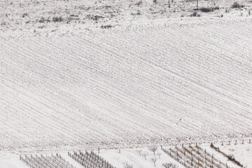 Aerial abstract of vineyard in winter with soft neutral tones