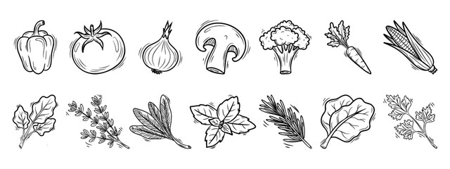 Fototapeta premium Hand Drawn Vegetable and Herb Set. Organic Food Line Art Vector Collection