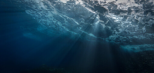 Fototapeta premium Underwater photograhy of rays of sunlight coming through the wild ocean surface.