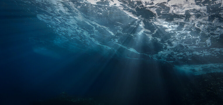 Underwater photograhy of rays of sunlight coming through the wild ocean surface.