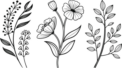 Stylized Line Art of Four Different Flowers