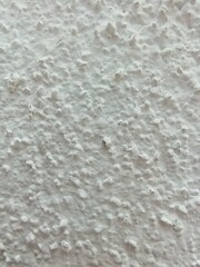 Fototapeta premium Rough Textured White Wall Surface Close Up