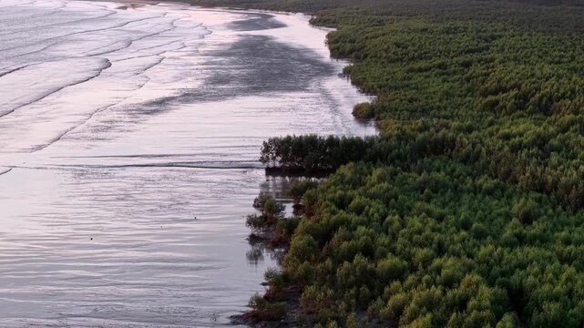 Aerial view highlights mangrove forest near coastal boundary at Penaga, Penang forming natural buffer zone.