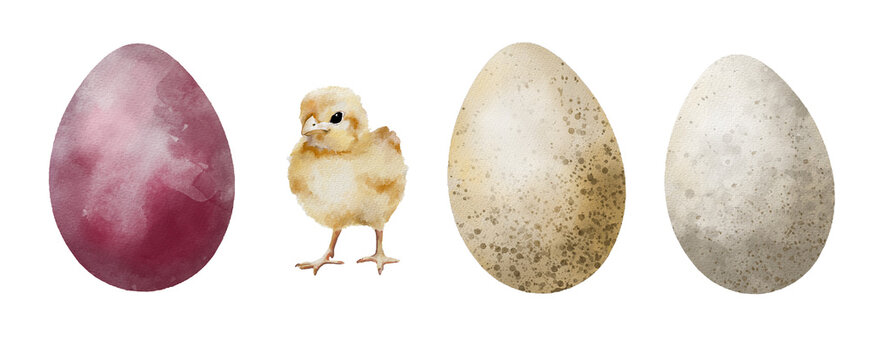 Easter egg clip art set. Easter painted eggs and chicks.