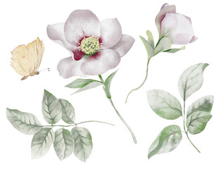 Set of pastel watercolor flowers.