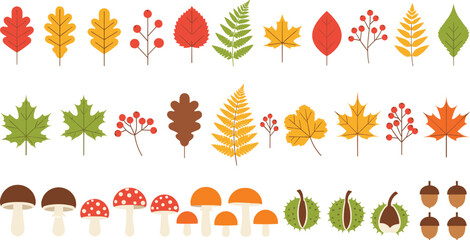 Autumn leaves mushrooms acorns and chestnuts collection, colorful fall forest nature elements vector illustration set © Kharshad Creative