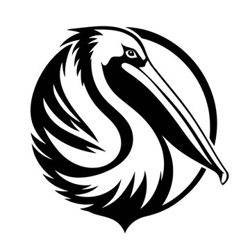 pelican vector
