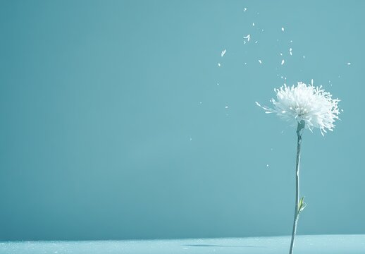 A delicate dandelion seed head releasing floating seeds into the air against a soft uniform turquoise blue background