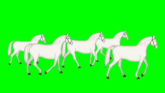 Large herd of white horses galloping together in a group 2D animation green screen chroma key. Wild nature and absolute freedom concept. Excellent quality asset for creative video motion compositing.