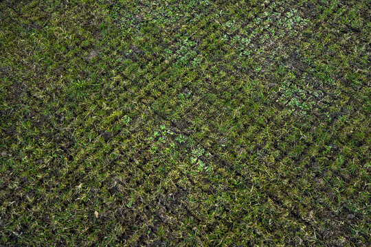 Freshly scarified lawn texture in early spring