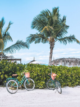 Colorful bicycles parked by tropical palm trees and lush greenery near the beach in Holbox, Mexico.