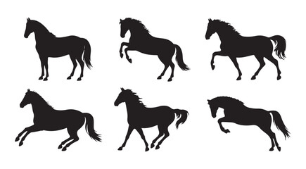 Six horse silhouettes showing movement galloping standing rearing and jumping isolated on white background © Farik