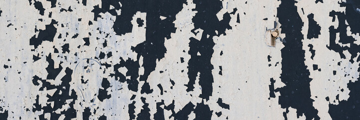 Peeling paint on the wall. Panorama of a concrete wall with old cracked flaking paint. Weathered rough painted surface with patterns of cracks and peeling. Grunge texture for wide panoramic background