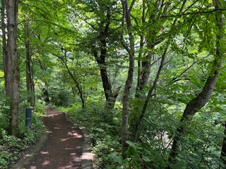 Fototapeta premium scenery in Karuizawa, Nagano, Japan
