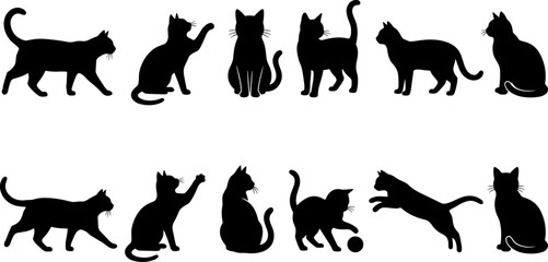Cat silhouette set, domestic kitten poses collection, black feline vector illustration isolated pet animal design elements bundle © Hello World