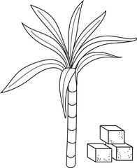 Coloring page with sugarcane (Saccharum officinarum) plant and sugar cubes isolated on white background