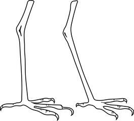 Coloring page with heron's legs	