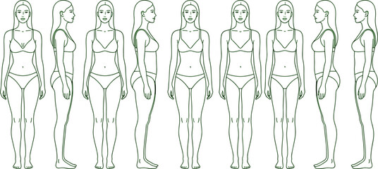 Female body outline vector, woman anatomy front side back view, fashion template isolated illustration medical design set
