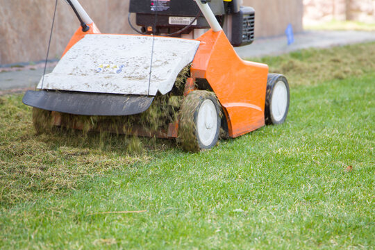 Scarification and aeration of the lawn with a scarifier. Close up view.