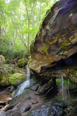 Silky water tumbles over large rocks amid lush foliage in  North Carolina, USA.
