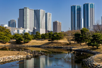 Fototapeta premium Urban park scene showing a tranquil pond, stone banks and tall apartment buildings