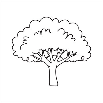 Single line art drawing of broadleaf tree nature minimal vector illustration